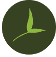 Loam logo