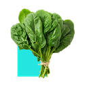 Spinach logo