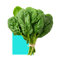 Spinach logo