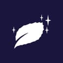Stellarmint logo